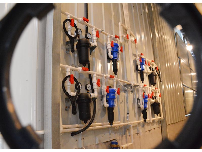 自動化養(yǎng)雞設備幫你提升雞群成活率