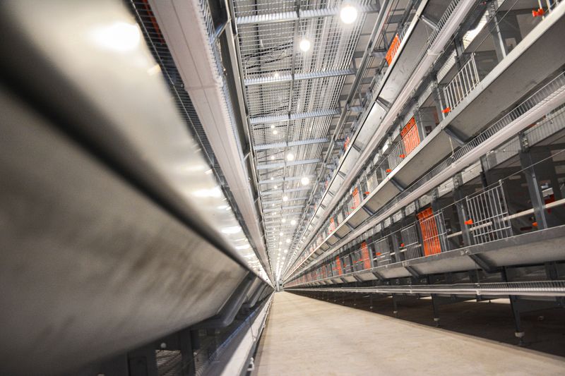  卓一牧業(yè)采用12層大規(guī)模產(chǎn)業(yè)養(yǎng)雞模式，跟進(jìn)養(yǎng)雞規(guī)模新趨勢(shì)