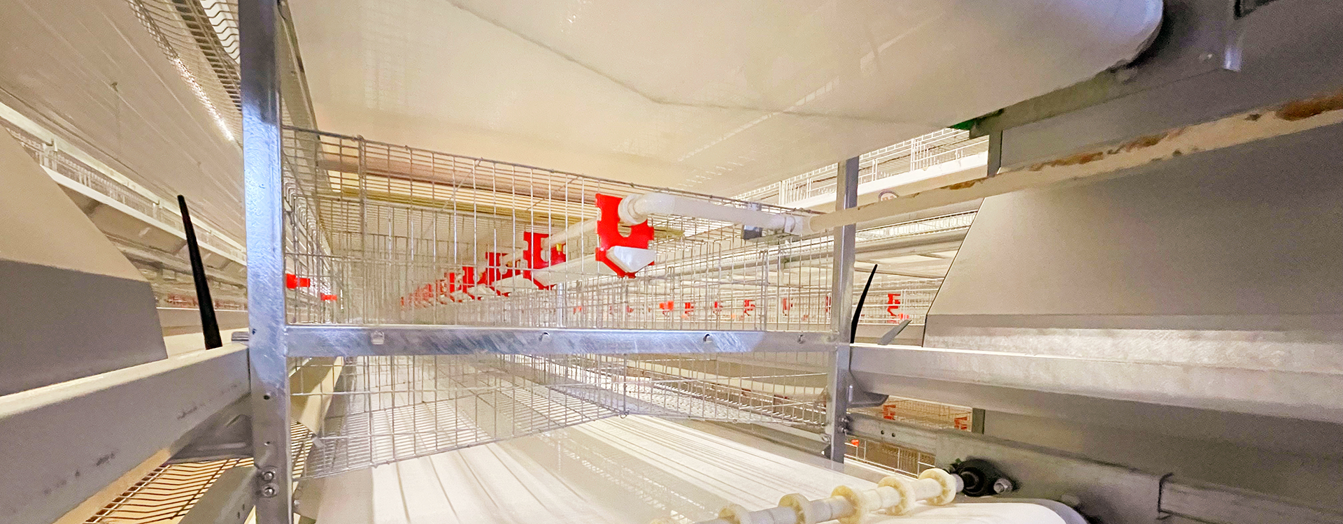 籠架細節(jié) 清糞 水線